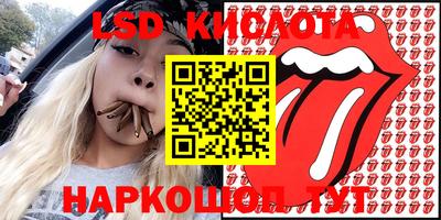 мдпв Будённовск