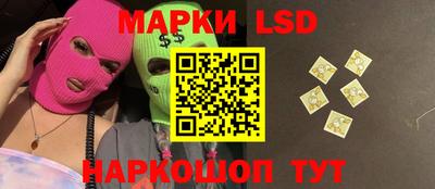 мдпв Будённовск