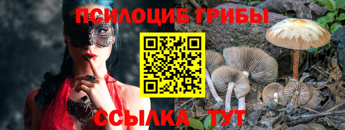 Галлюциногенные грибы мухоморы Переславль-Залесский
